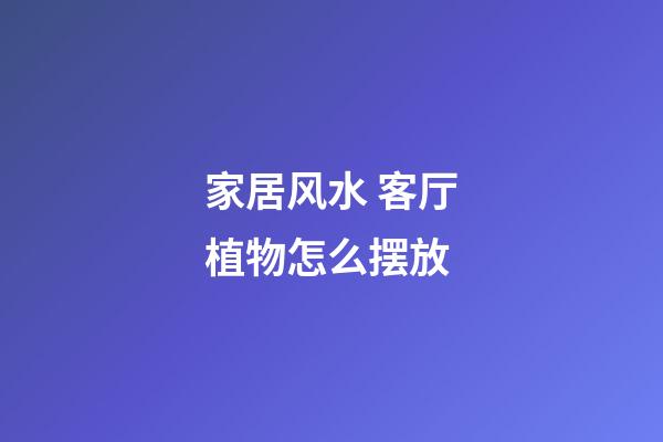 家居风水 客厅植物怎么摆放